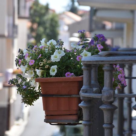 Hotel Risorgimento Agerola Zewnętrze zdjęcie