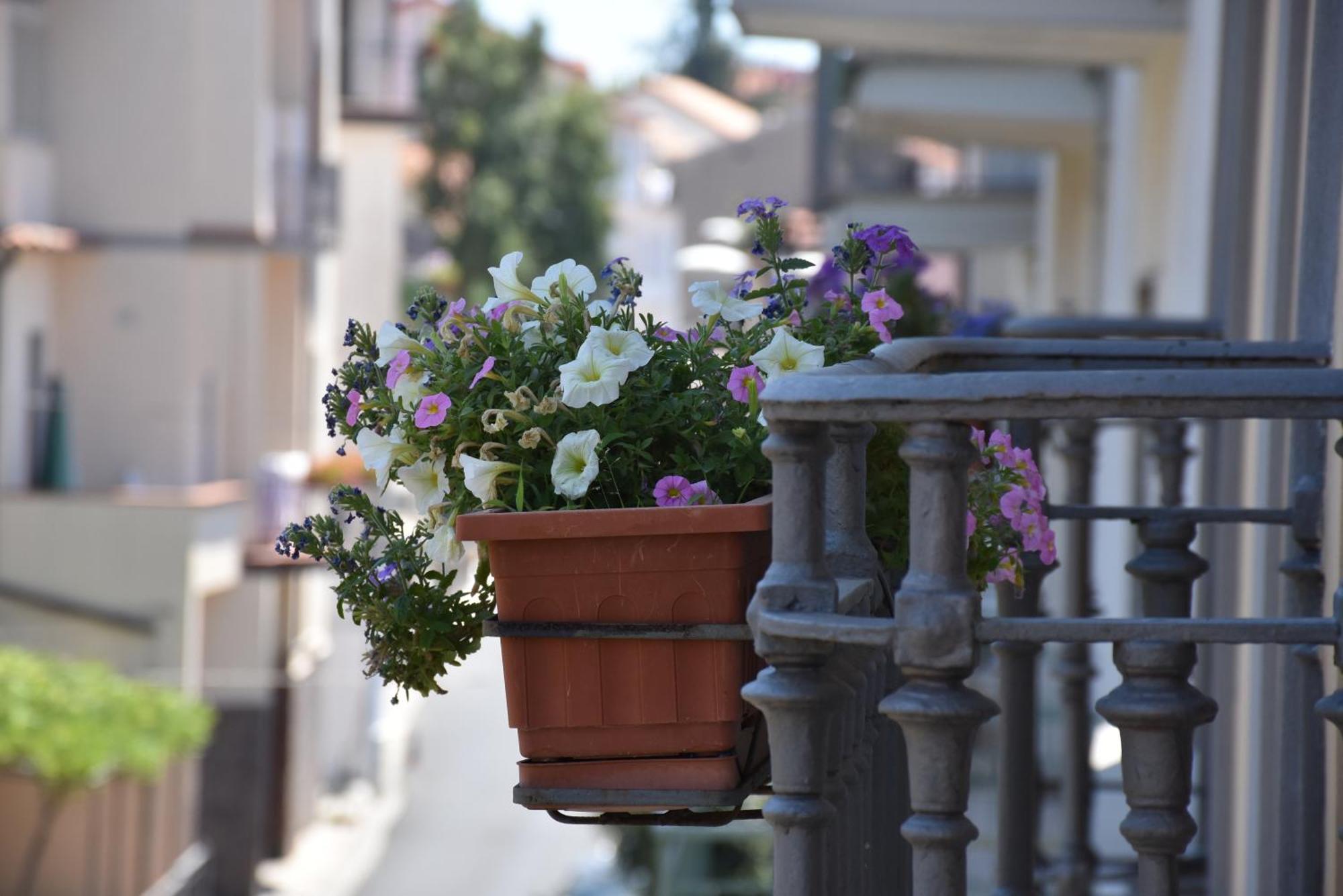 Hotel Risorgimento Agerola Zewnętrze zdjęcie